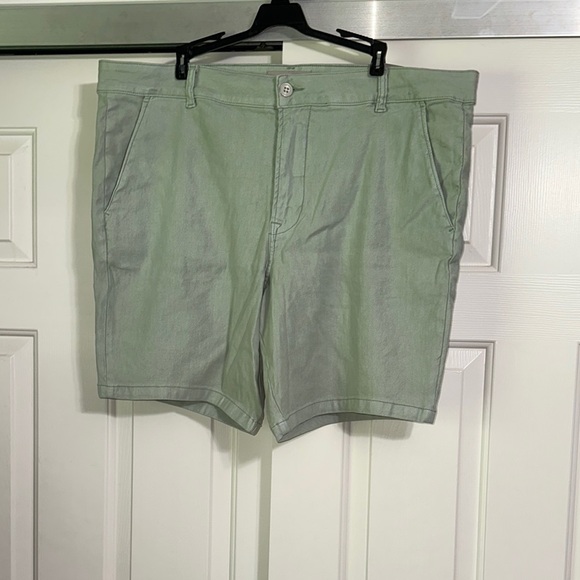Hudson Jeans Light Green Flat Front Shorts - Picture 1 of 6